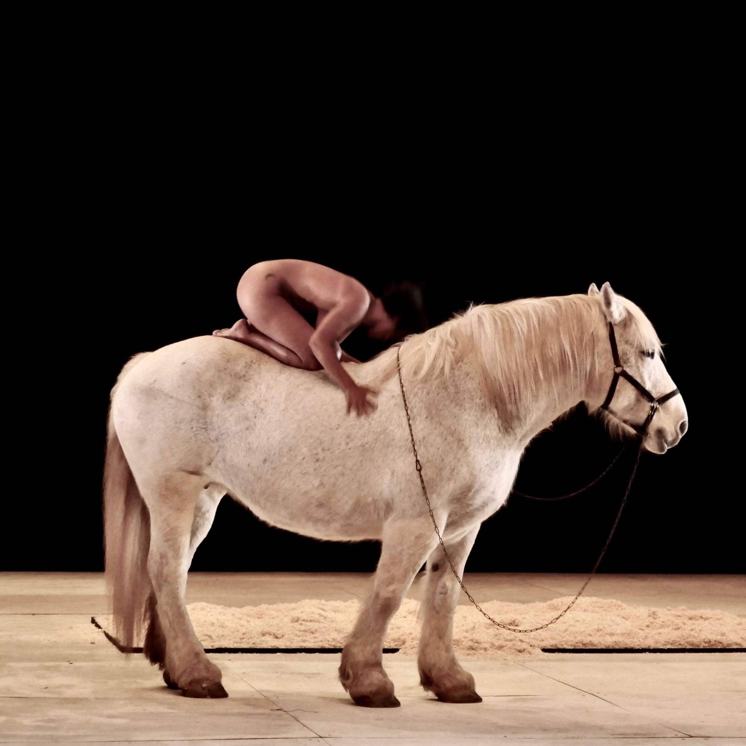 Une femme nue sur un cheval